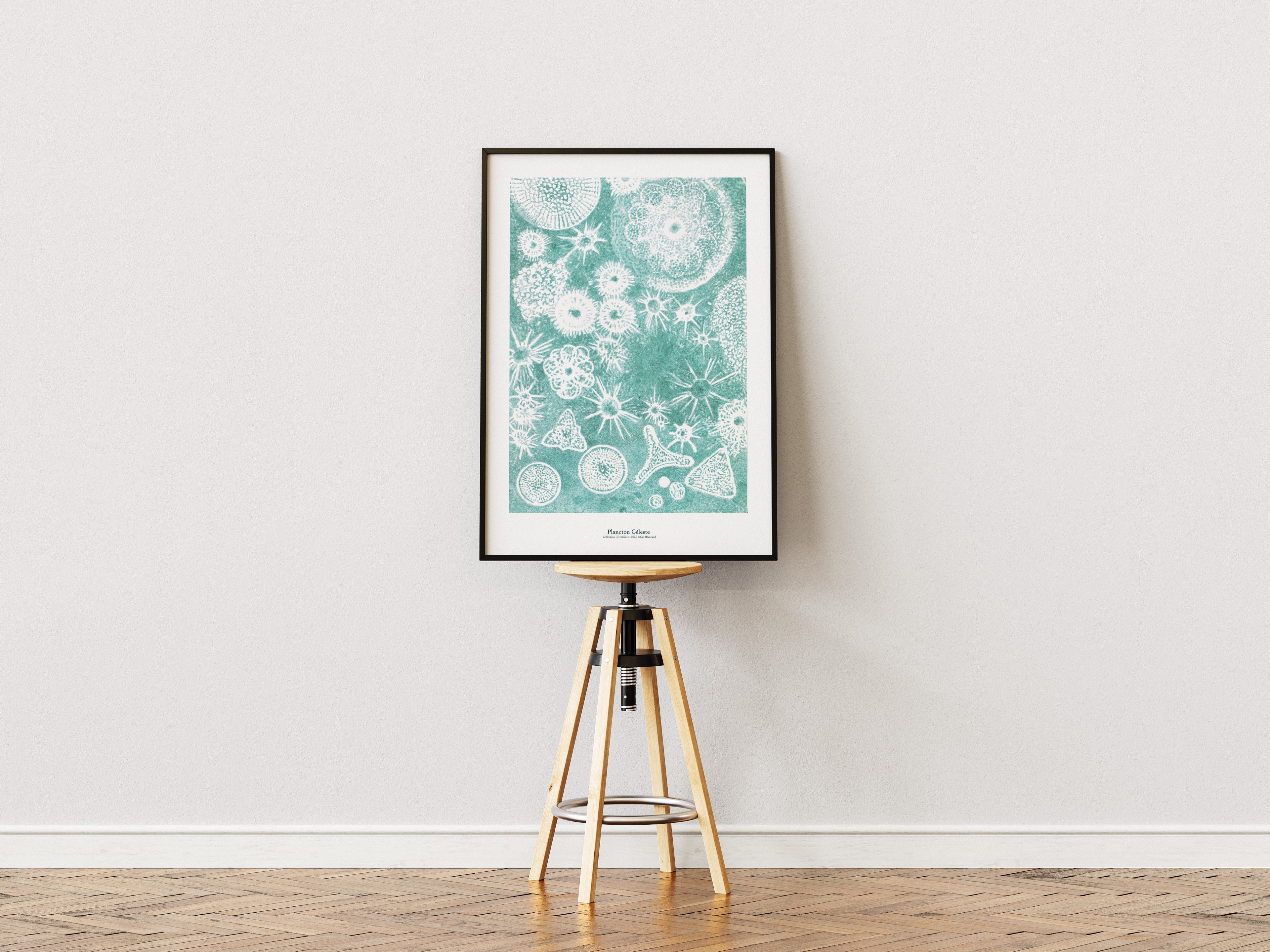 Affiche Plancton Céleste