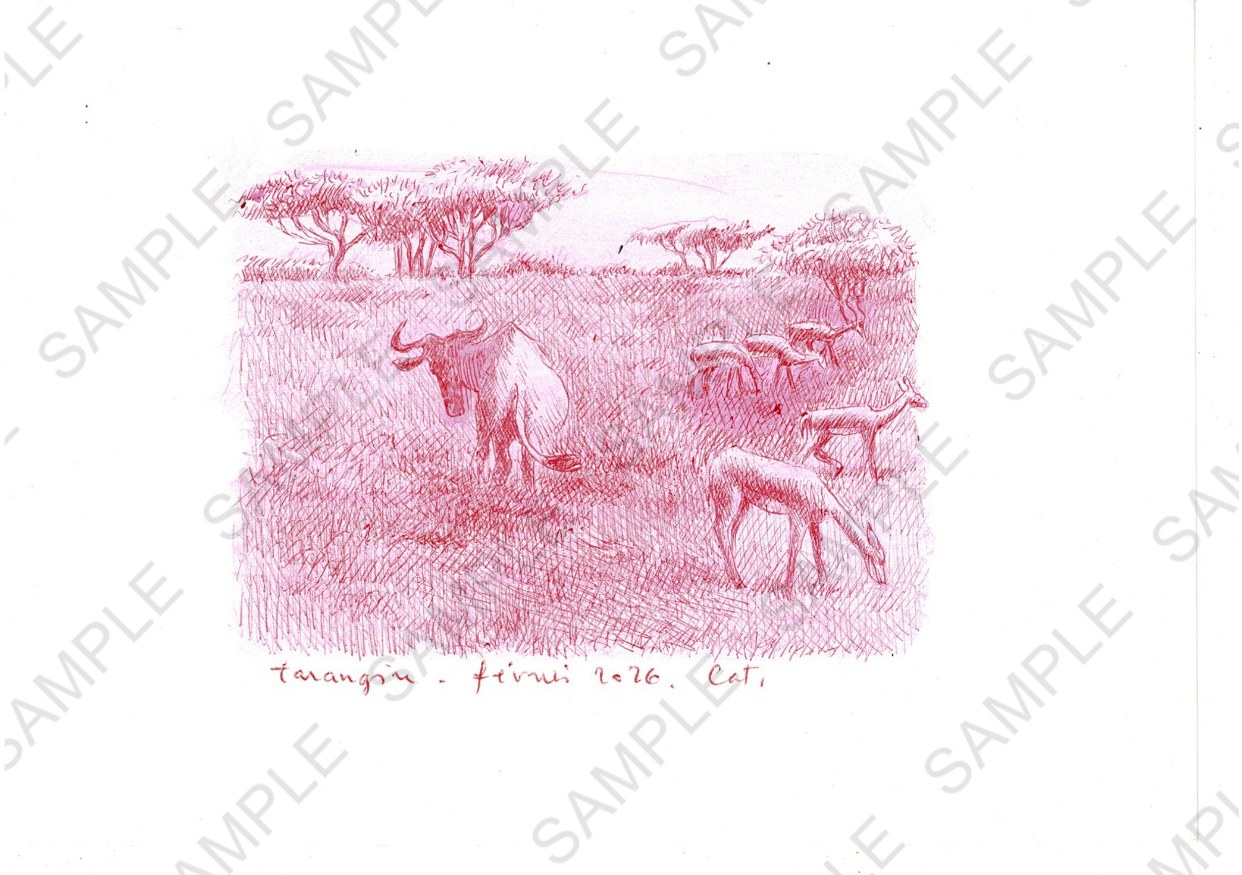 Gnous et impalas Tarangire