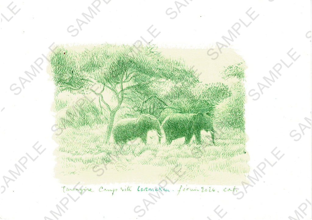 Lormakau Tarangire