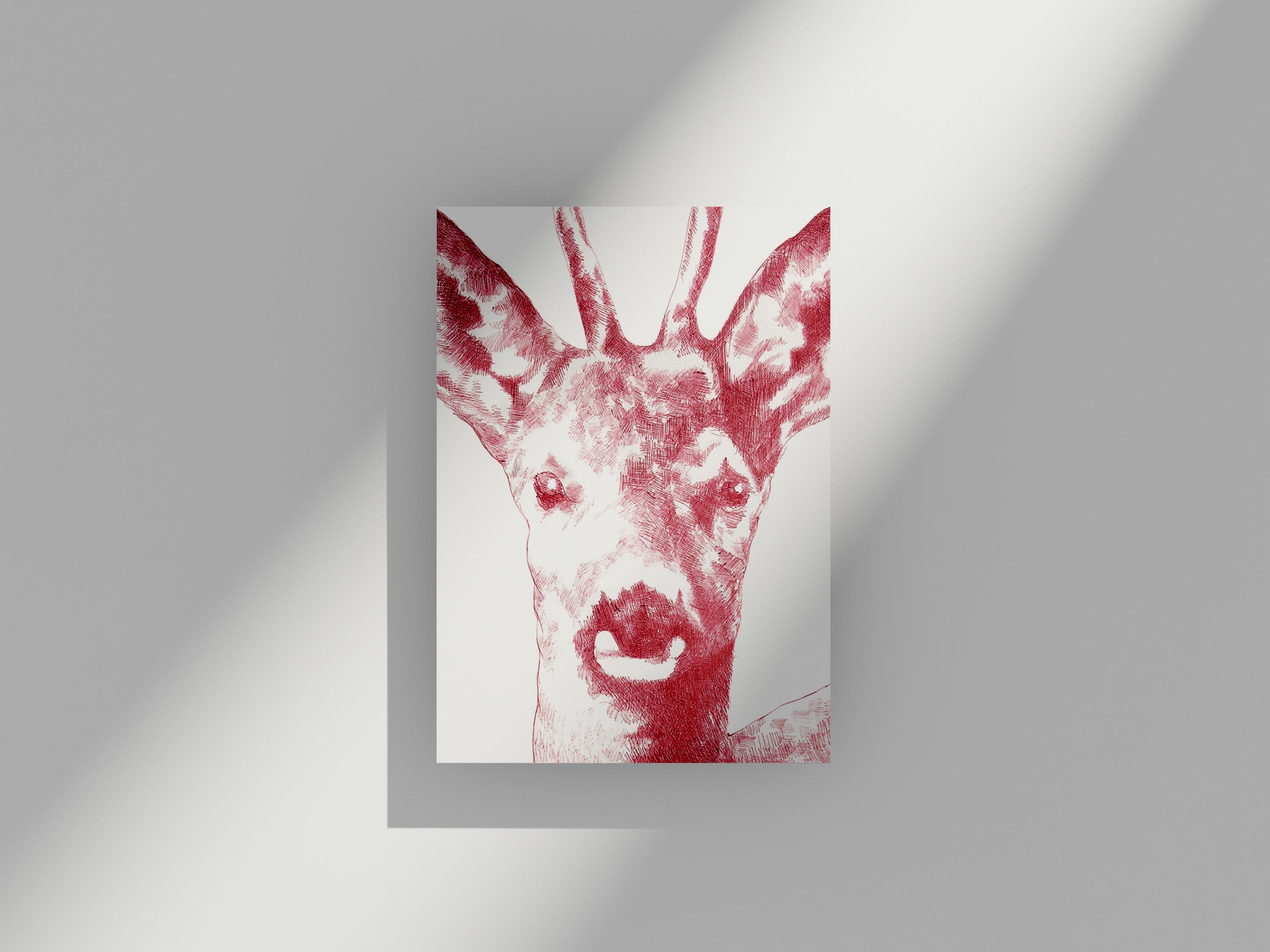 Carte Postale Chevreuil plan serré