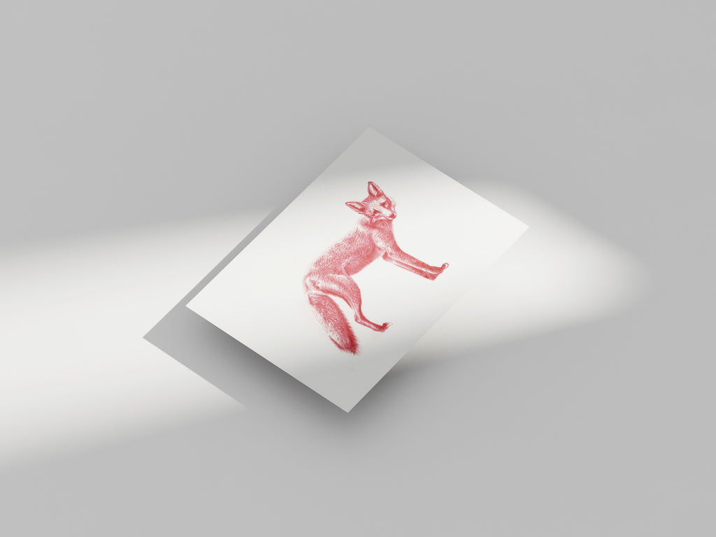 Carte Postale Merveilleux Nuisible