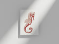 Carte Postale Hippocampe