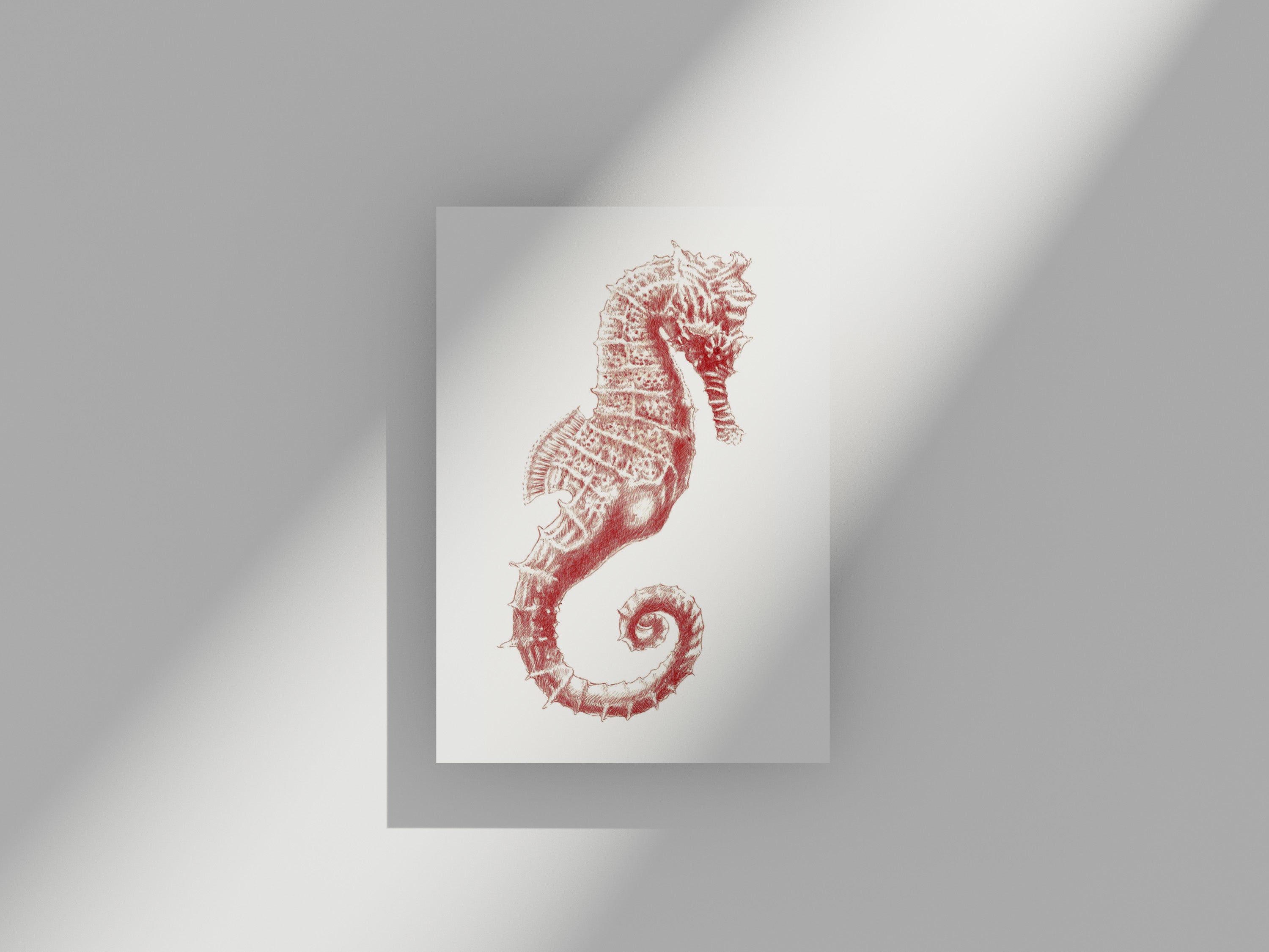 Carte Postale Hippocampe