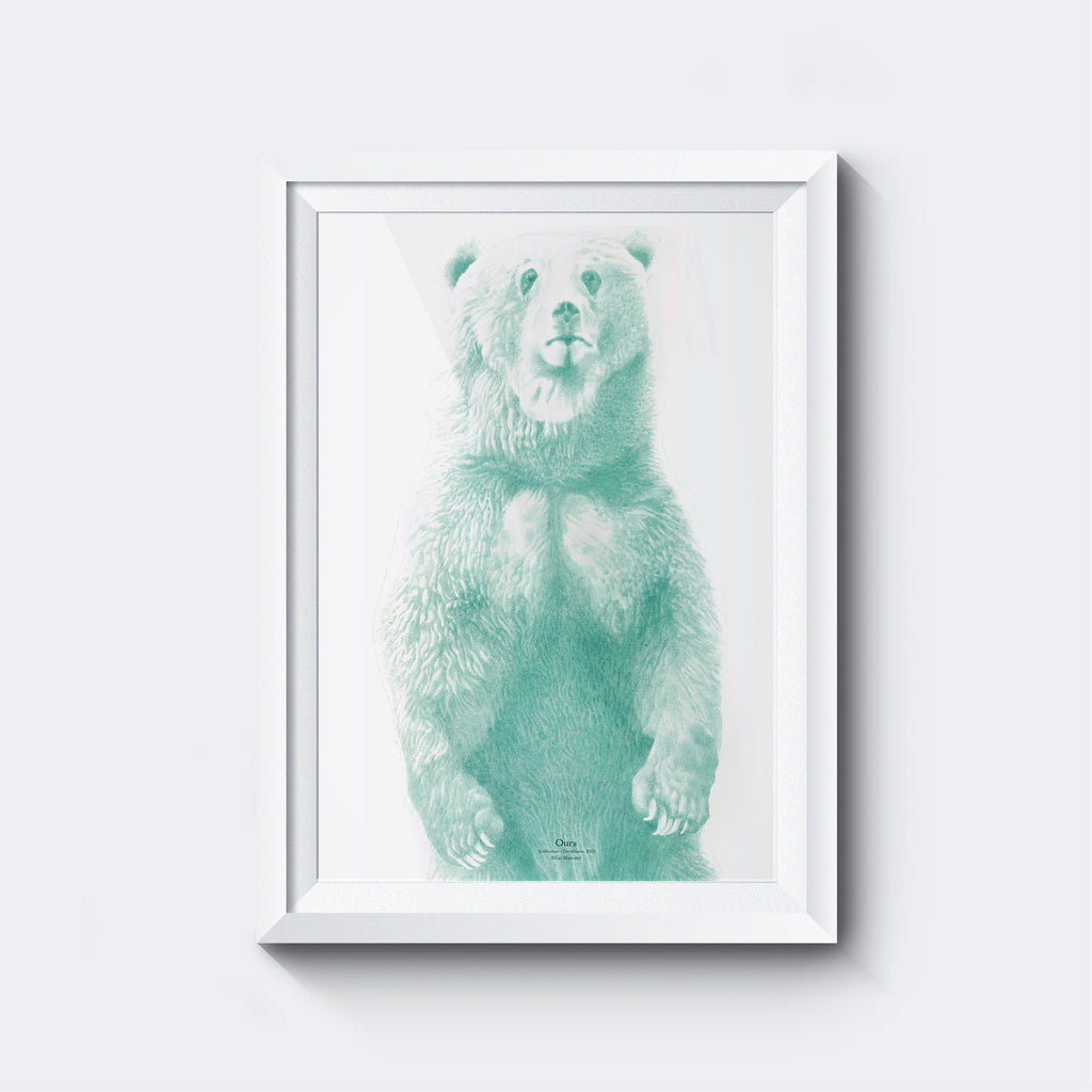 Affiche Ours