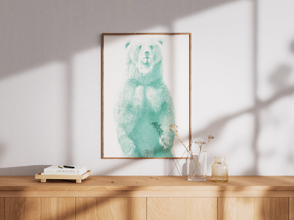 Affiche Ours
