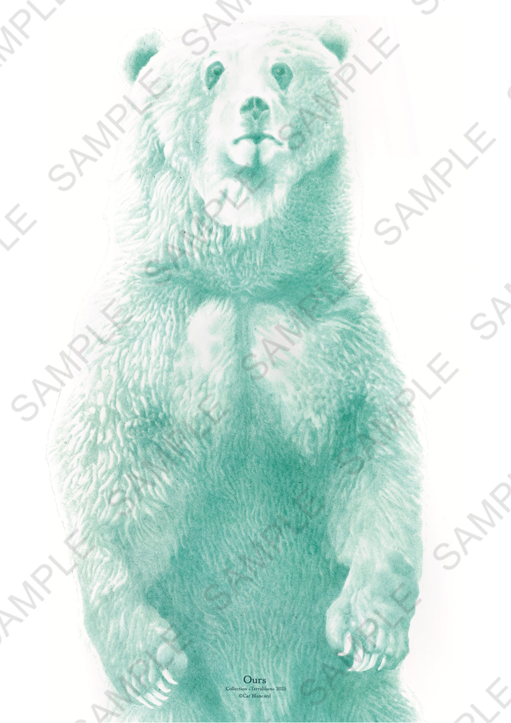 Affiche Ours