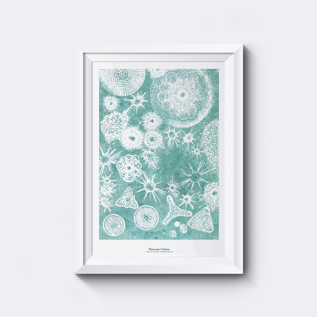Affiche Plancton Céleste
