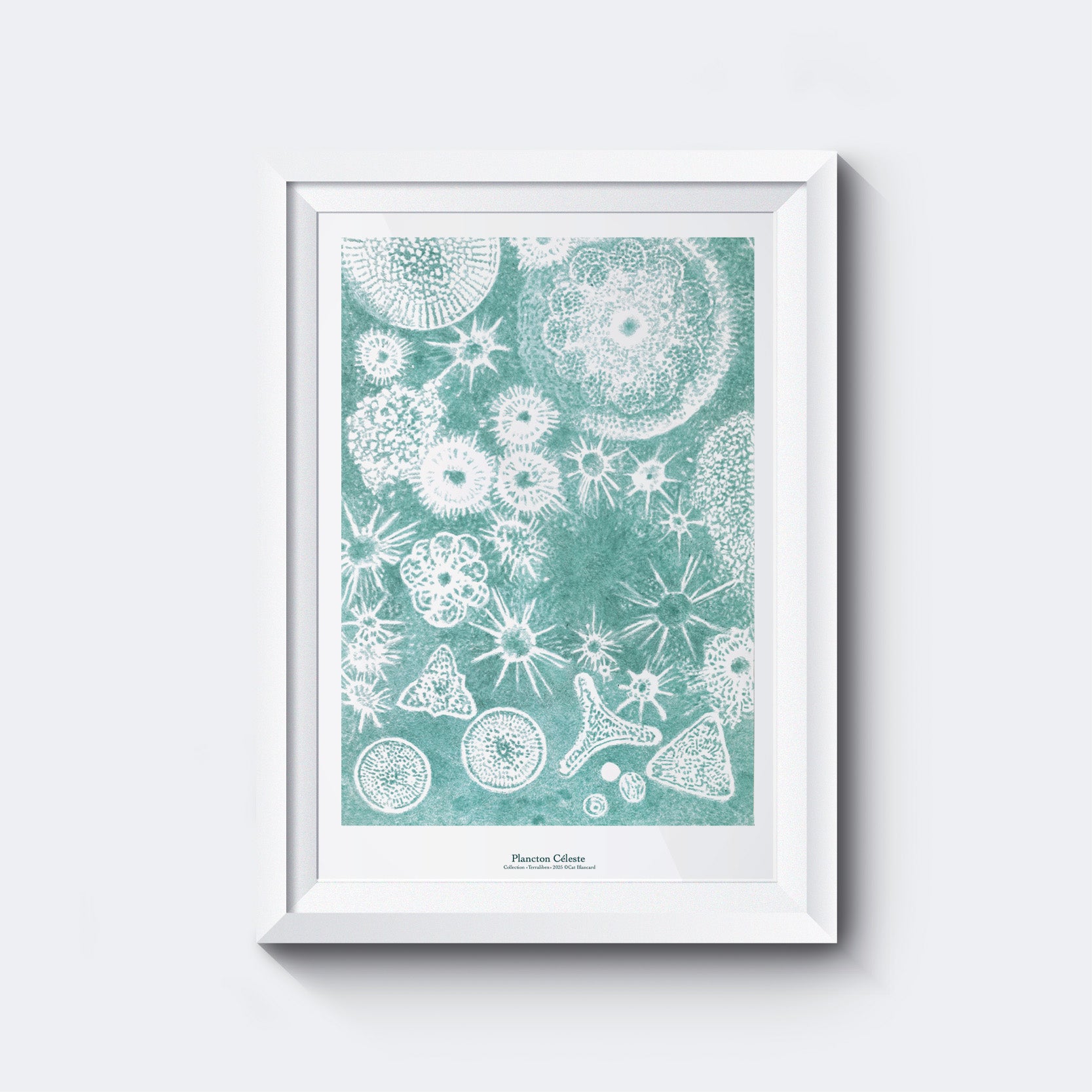 Affiche Plancton Céleste