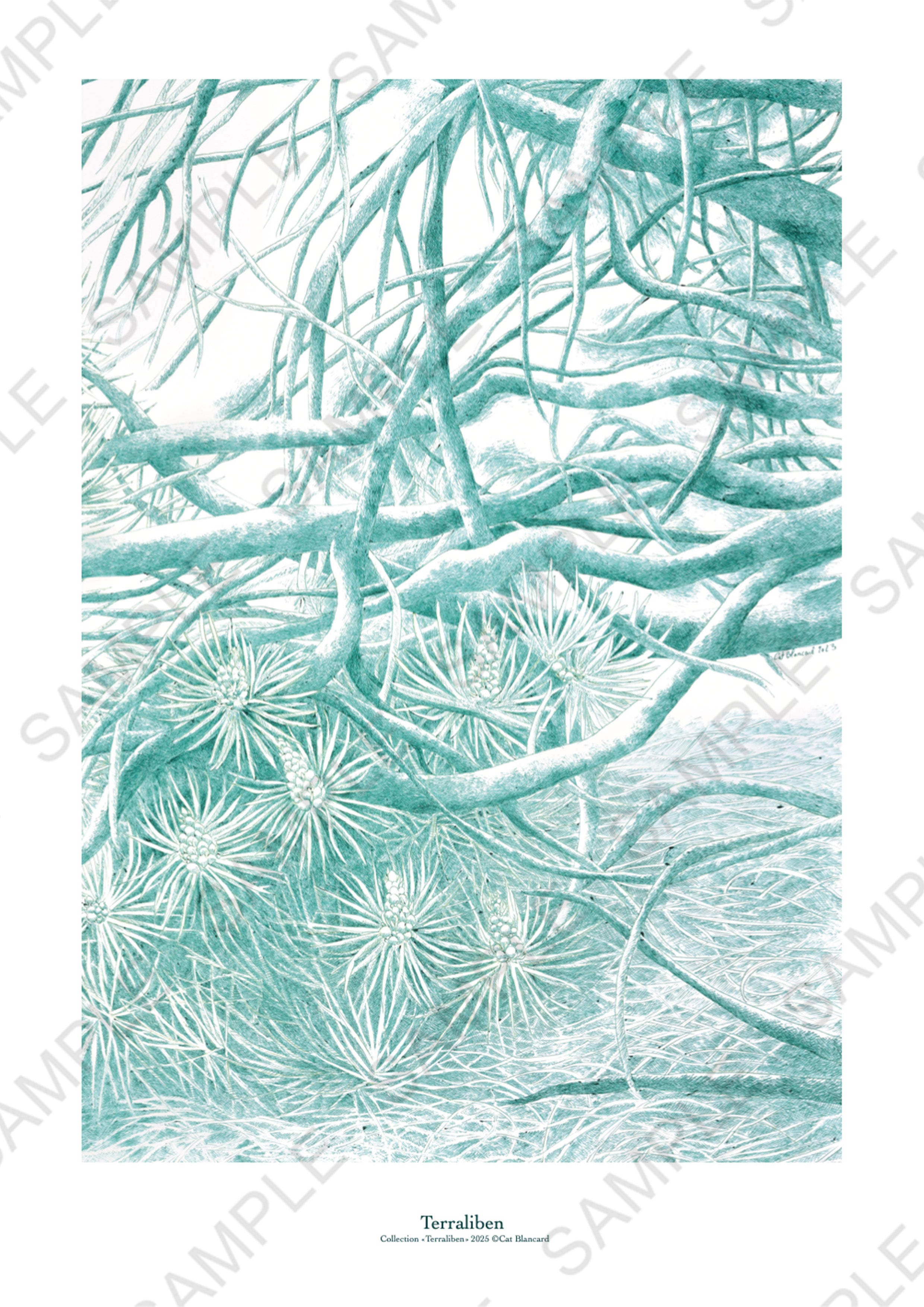 Affiche Terraliben Bas