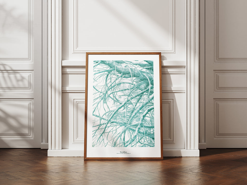 Affiche Terraliben milieu