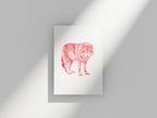 Carte postale Loup
