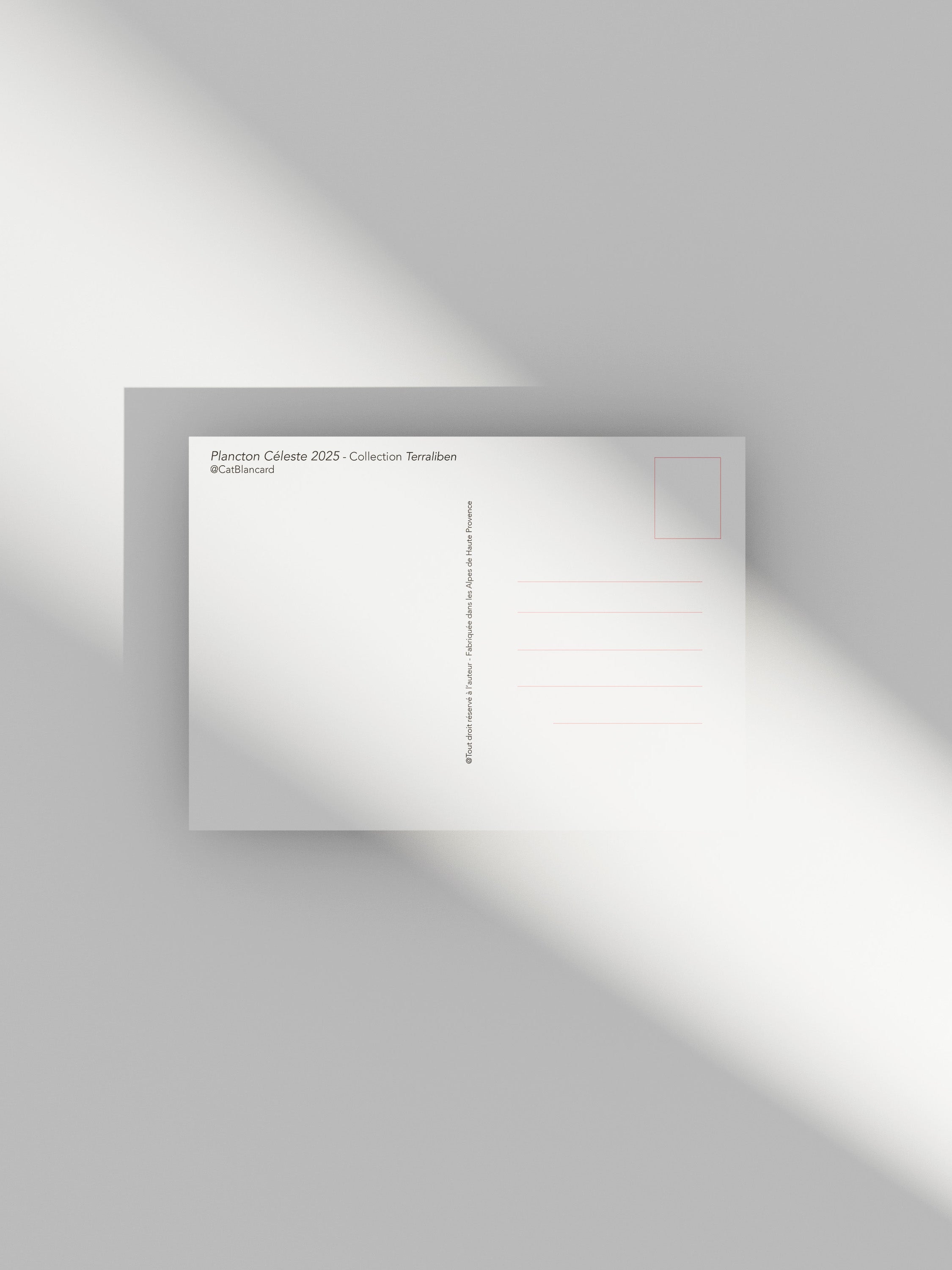 Carte postale Plancton céleste