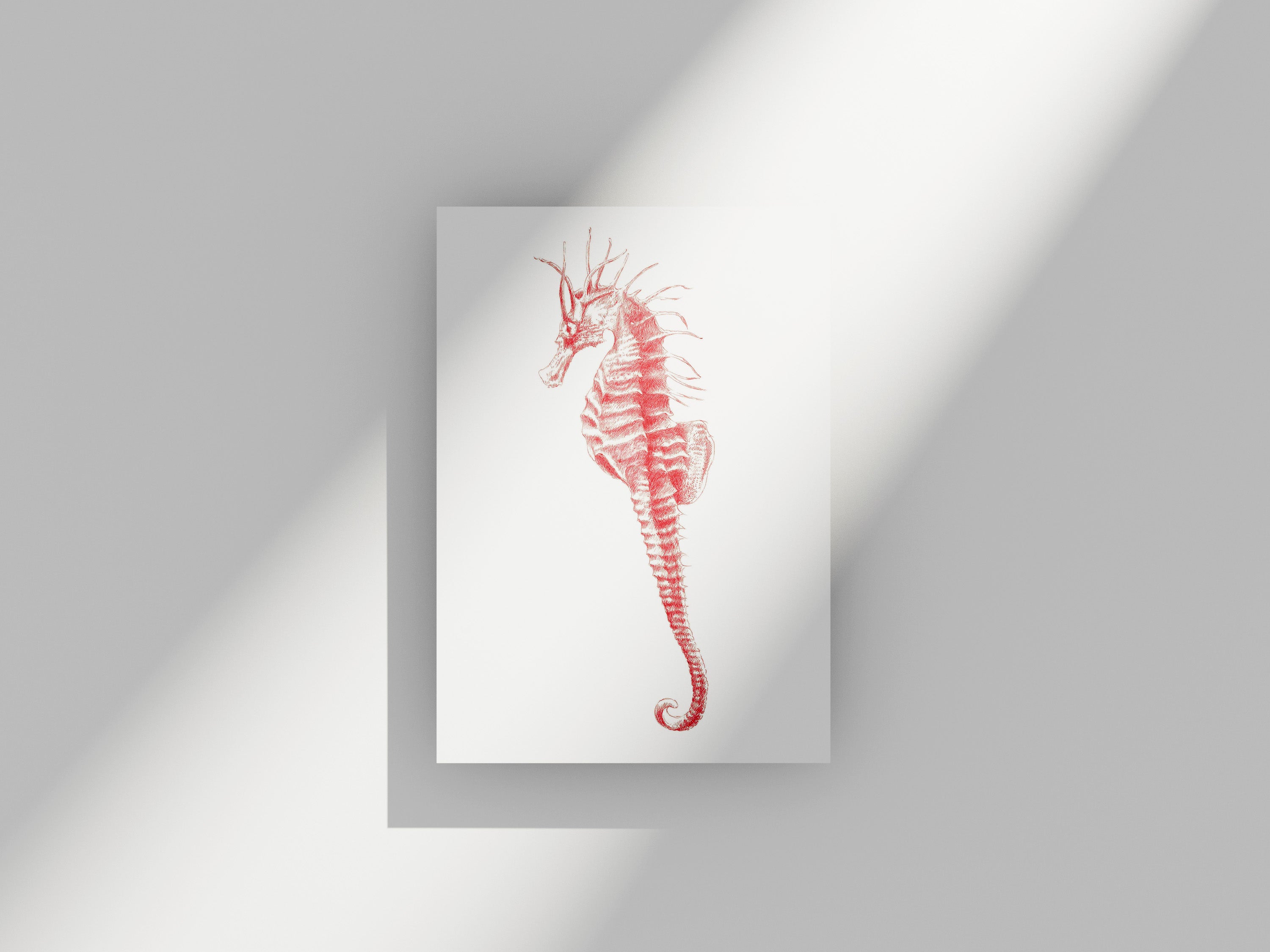 Carte Postale Hippocampe