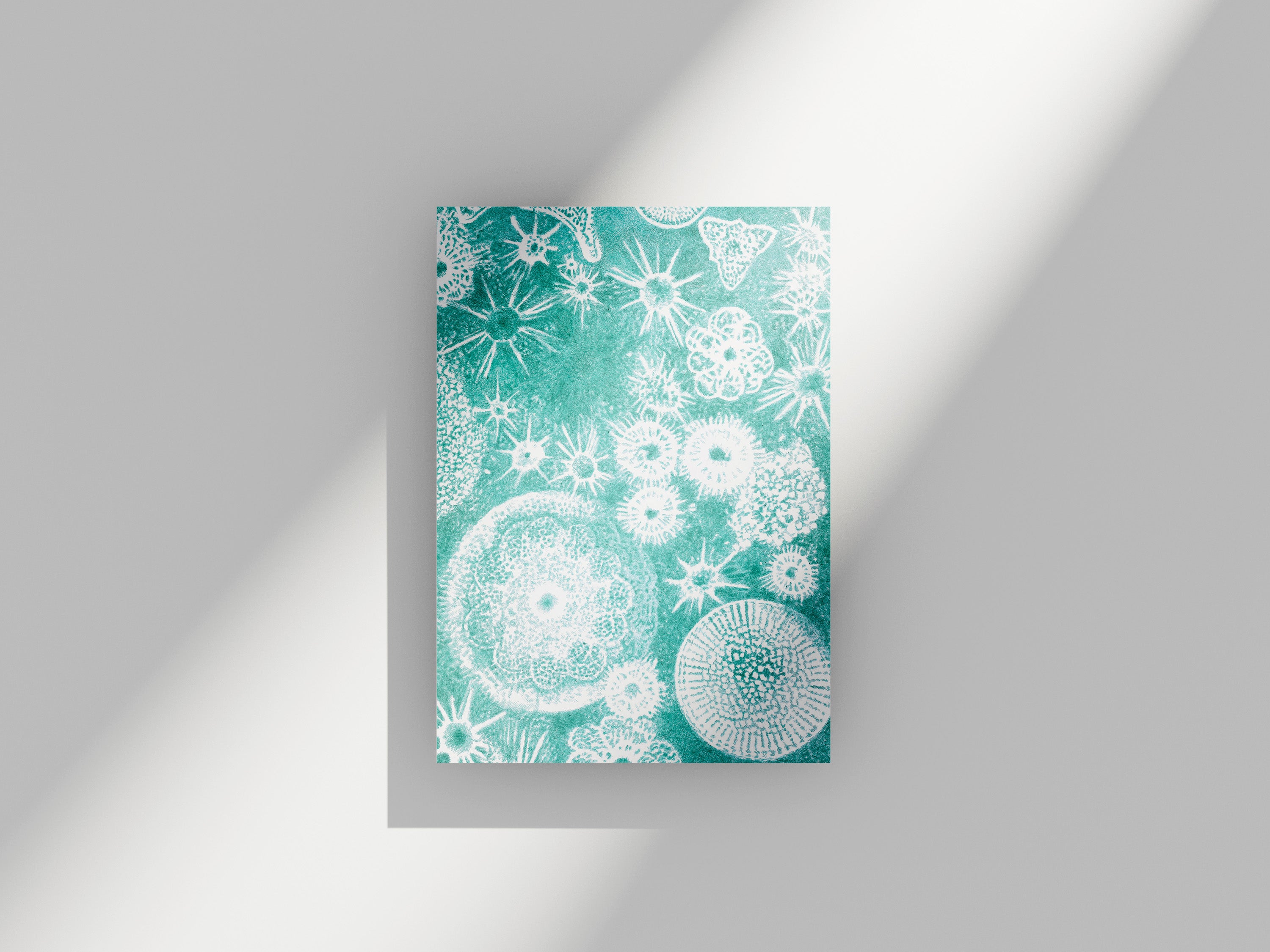 Carte postale Plancton céleste