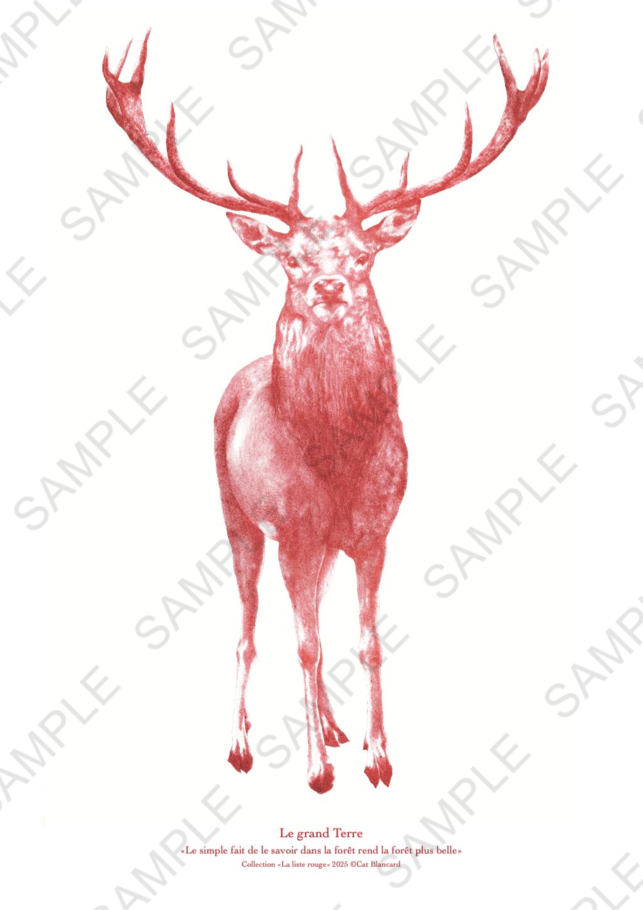 Affiche Le Grand Terre