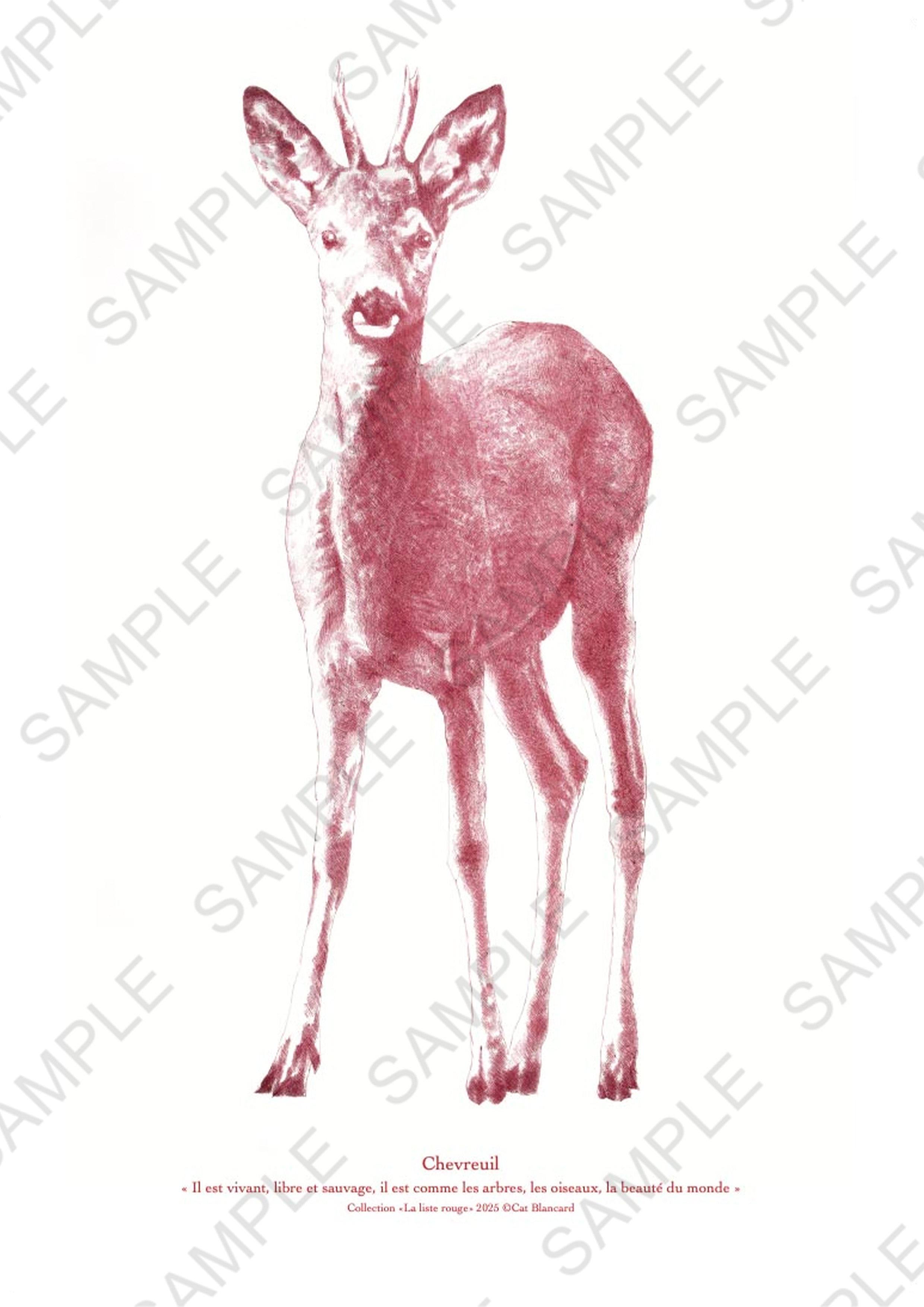 Affiche Chevreuil