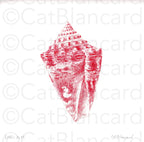 Impression Fine Art "coquillage" n°4/10