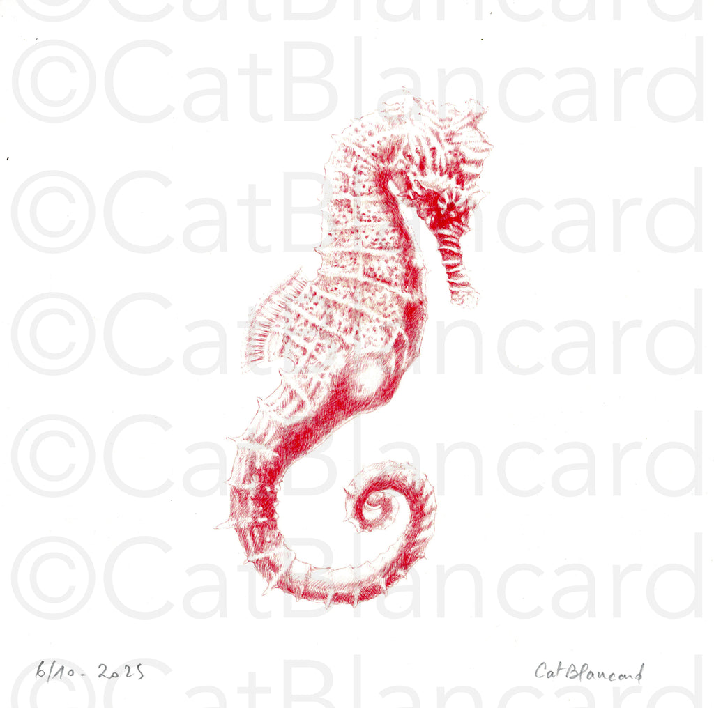 Impression Fine Art "Hippocampe" n°6/10