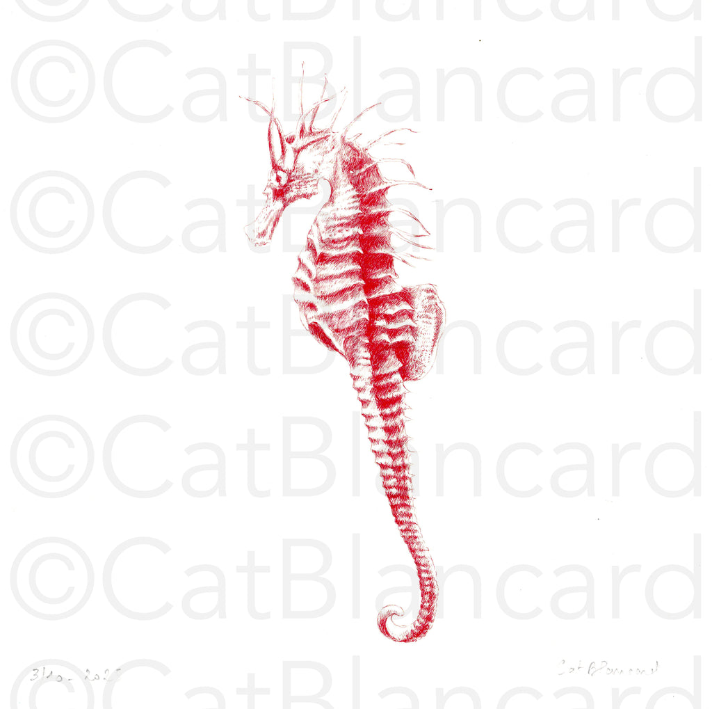Impression Fine Art "Hippocampe Piquante" n°3/10