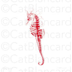 Impression Fine Art "Hippocampe Piquante" n°3/10