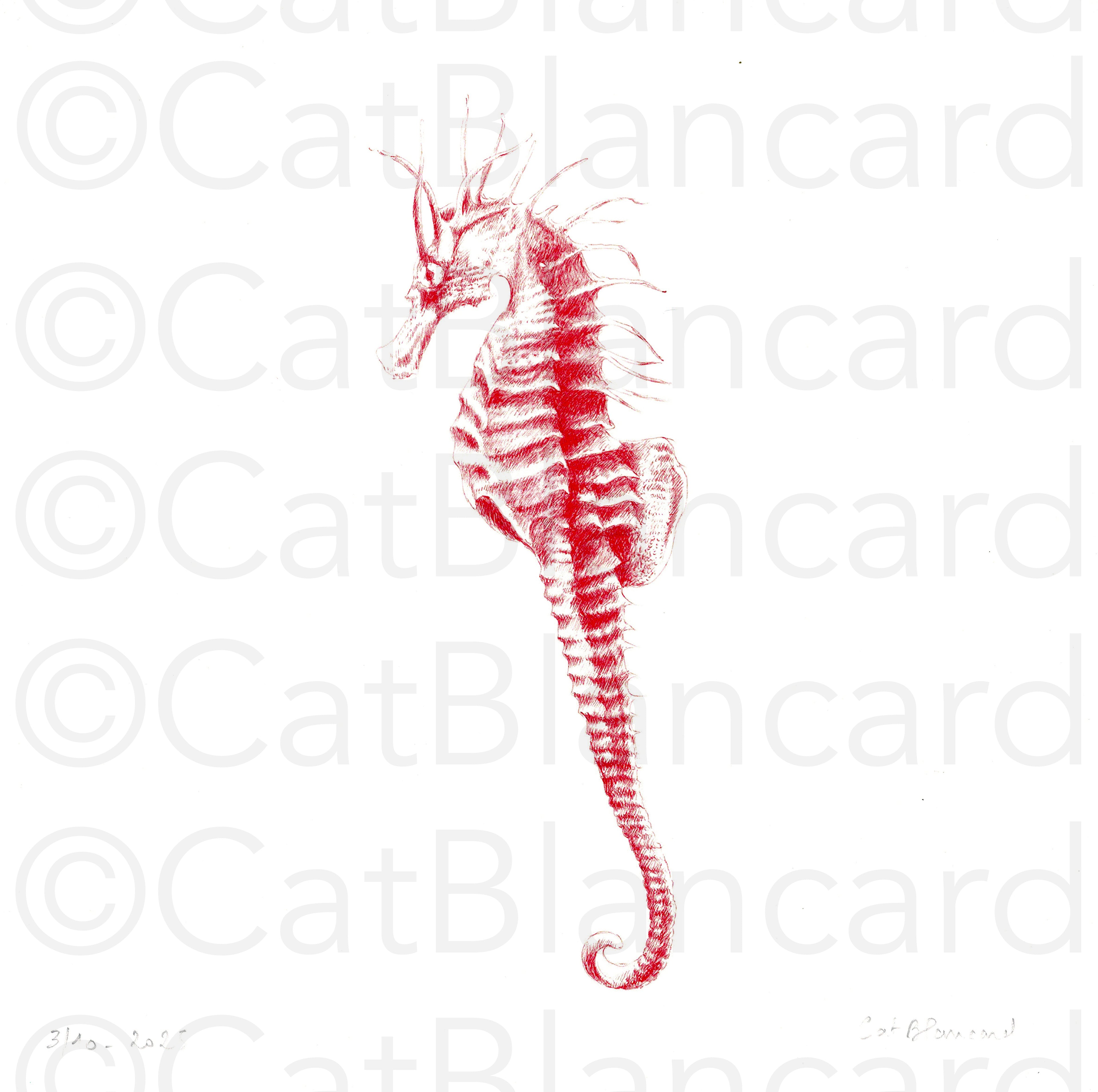 Impression Fine Art "Hippocampe Piquante" n°3/10