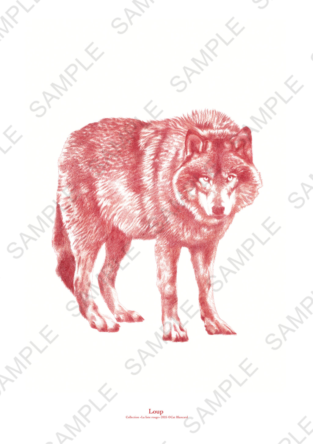 Affiche Loup