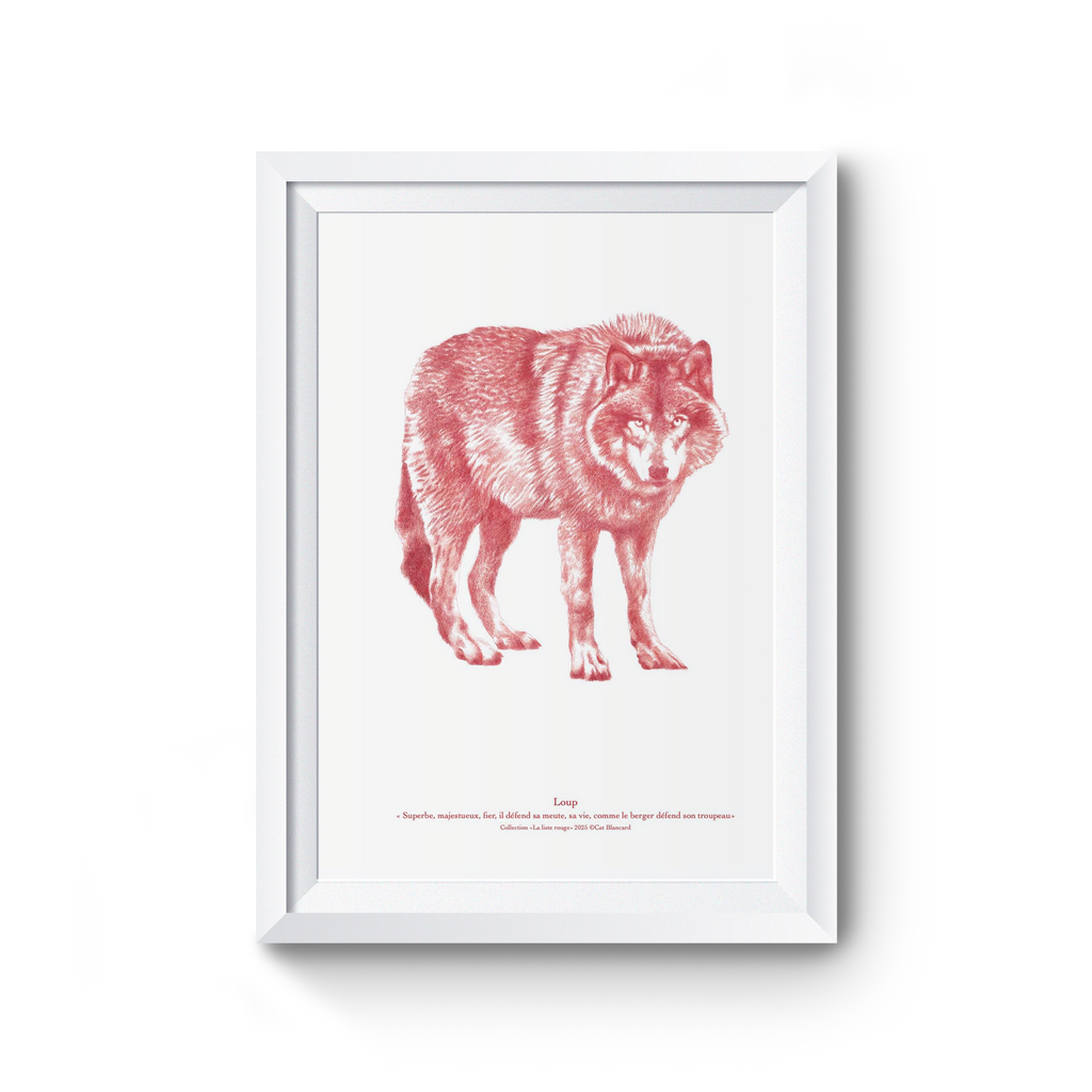 Affiche Loup