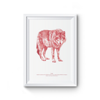 Affiche Loup