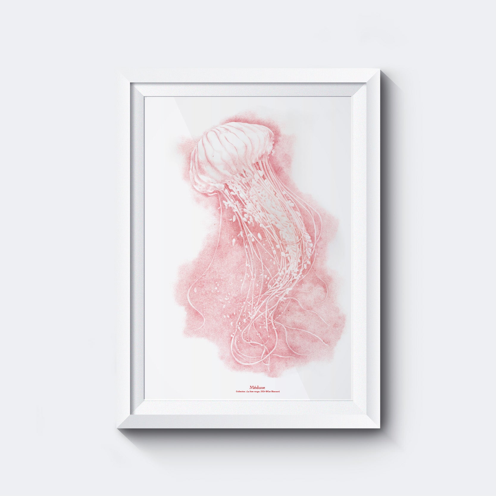 Affiche Méduse