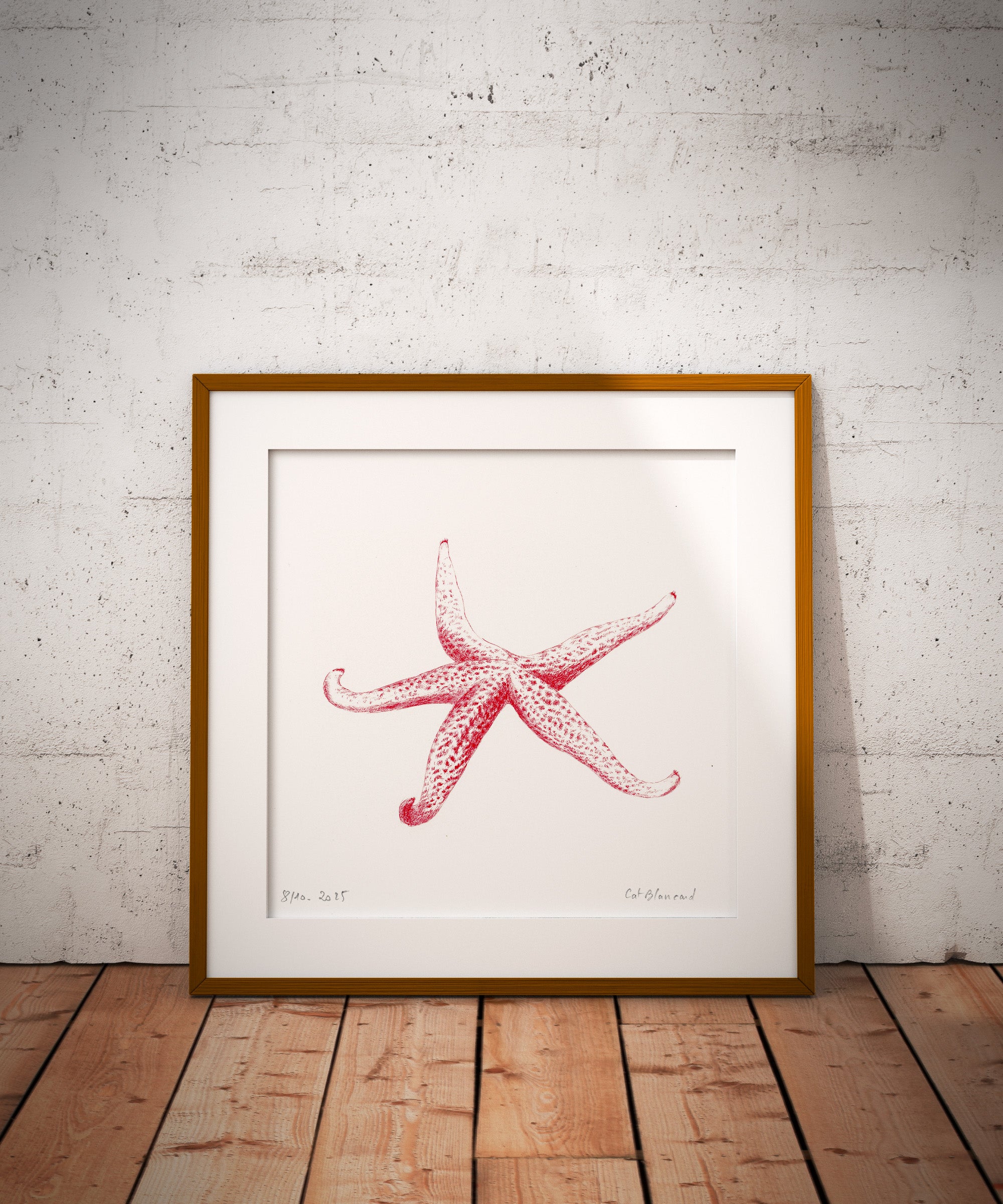 Impression Fine Art «  Étoile de mer »