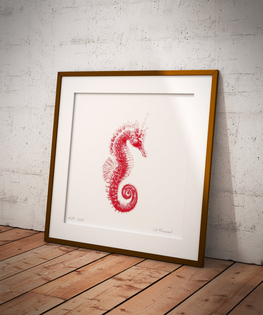 Impression Fine art " Hippocampe Anteneus" 1/25