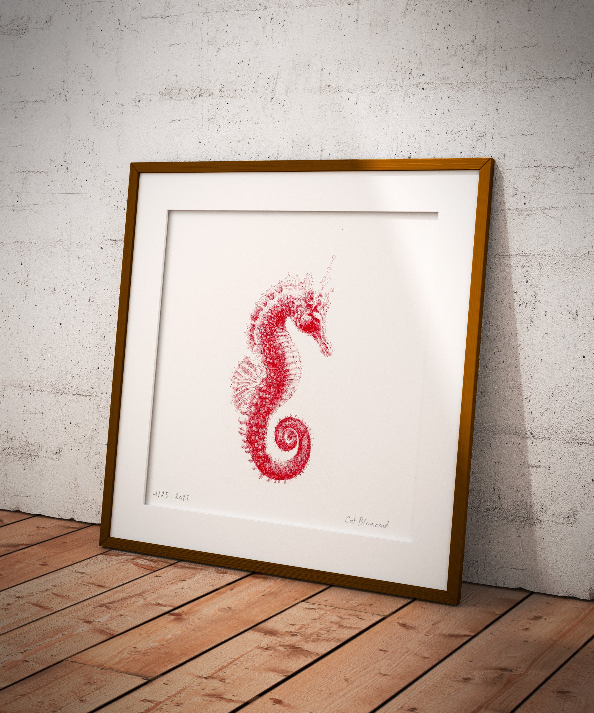 Impression Fine art " Hippocampe Anteneus" 1/25