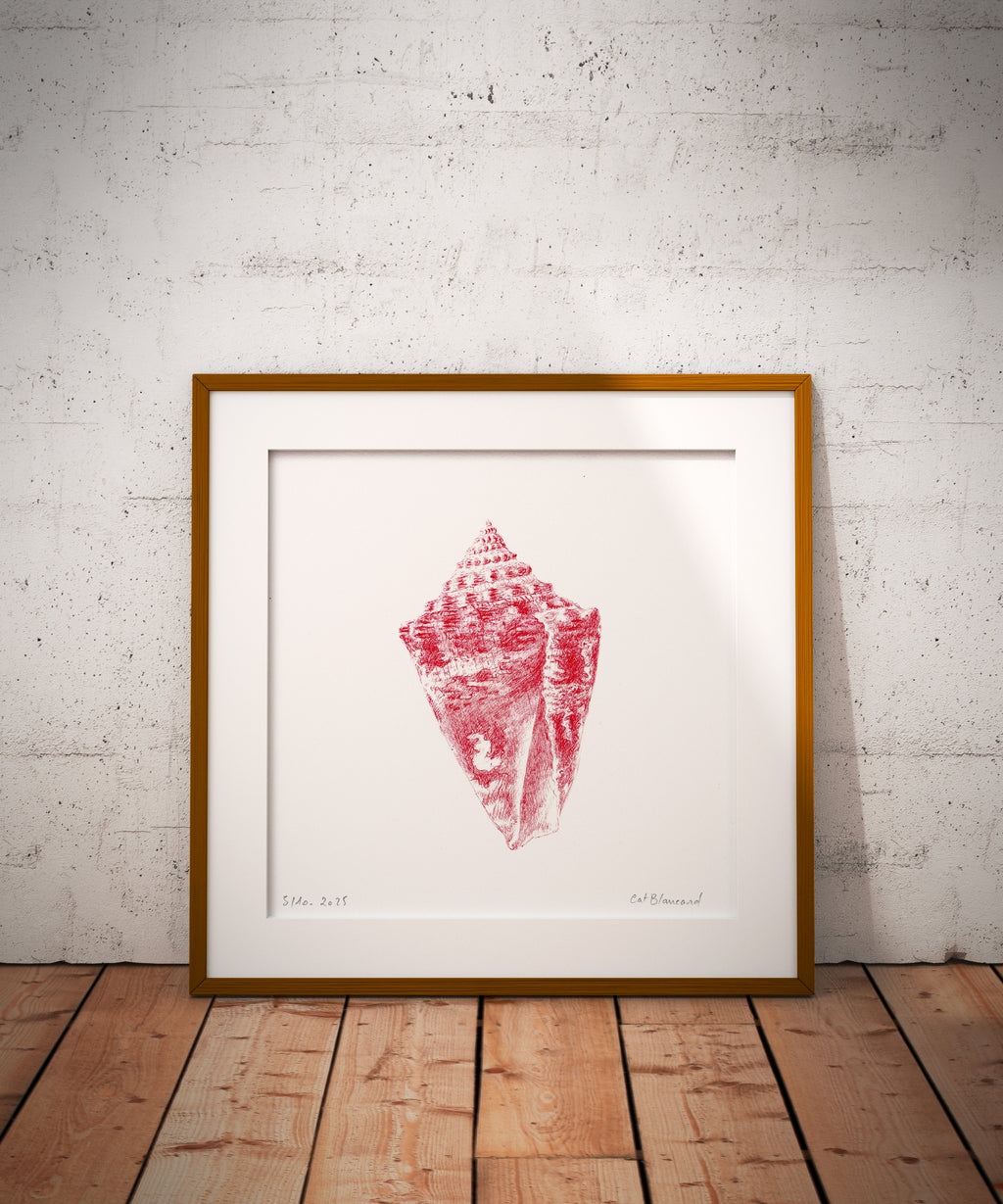 Impression Fine Art "coquillage" n°4/10