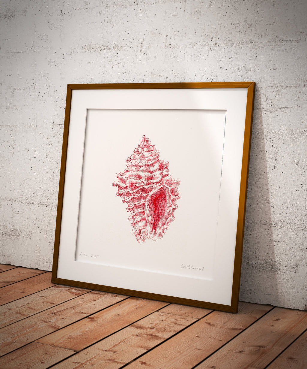 Impression Fine Art "coquillage" n°2/10