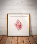 Impression Fine Art "coquillage" n°2/10