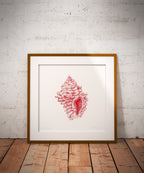 Impression Fine Art "coquillage" n°2/10