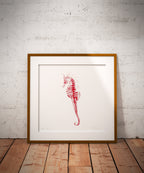 Impression Fine Art "Hippocampe Piquante" n°3/10