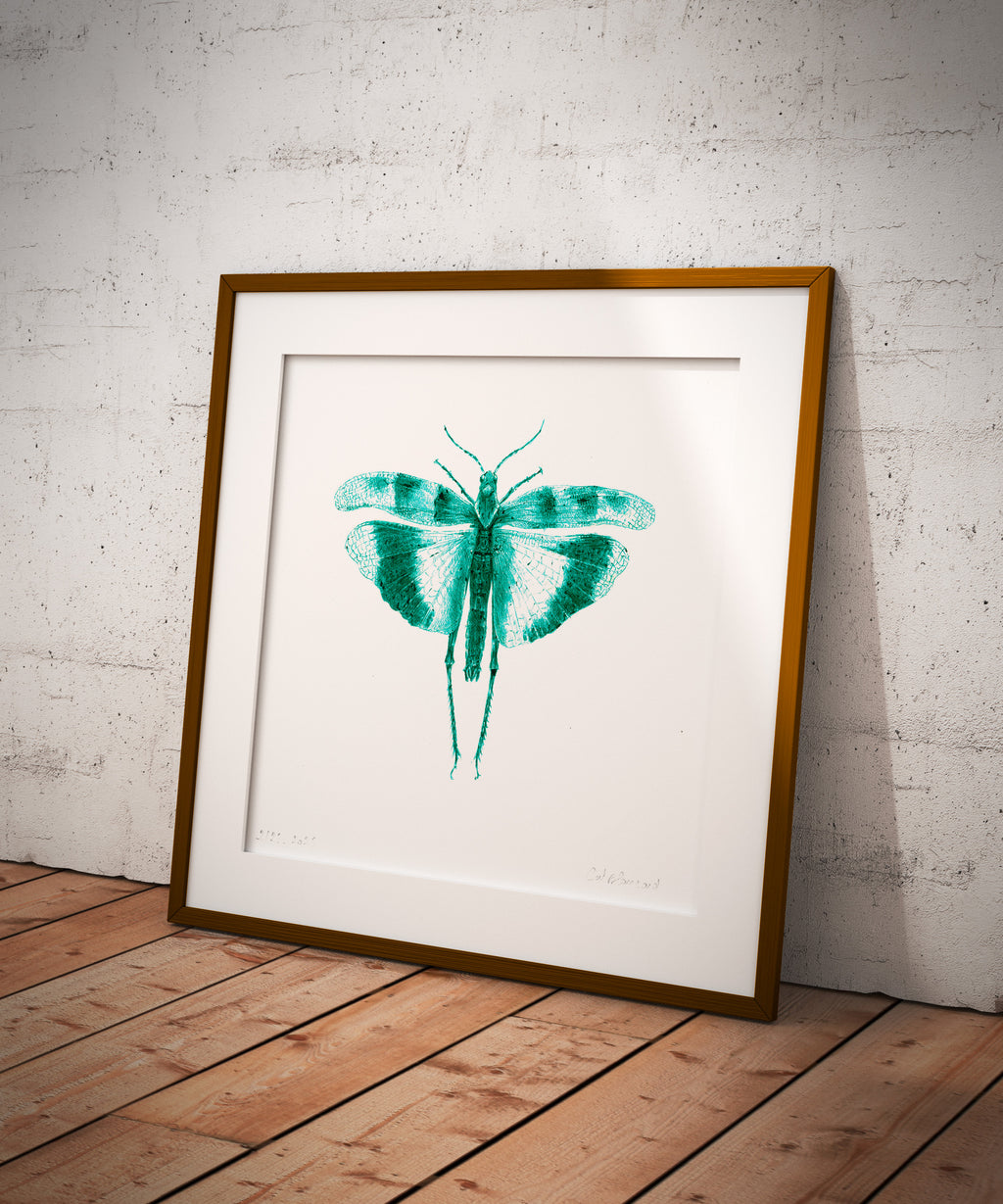 impression Fine Art "La sauterelle" n°1/25
