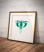 impression Fine Art "La sauterelle" n°1/25