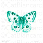 Impression Fine art "Nous voulons des papillons" n°3/25