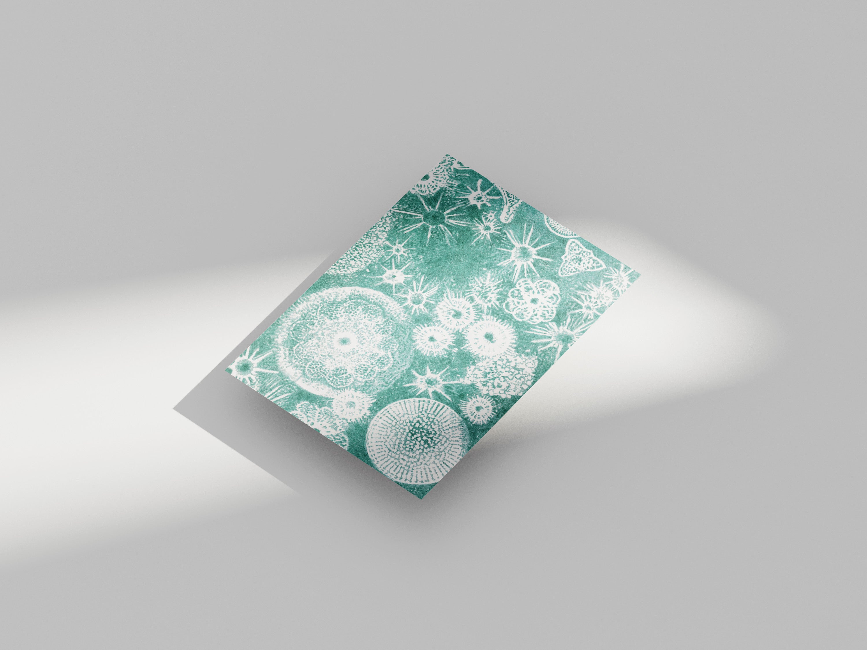 Carte postale Plancton céleste