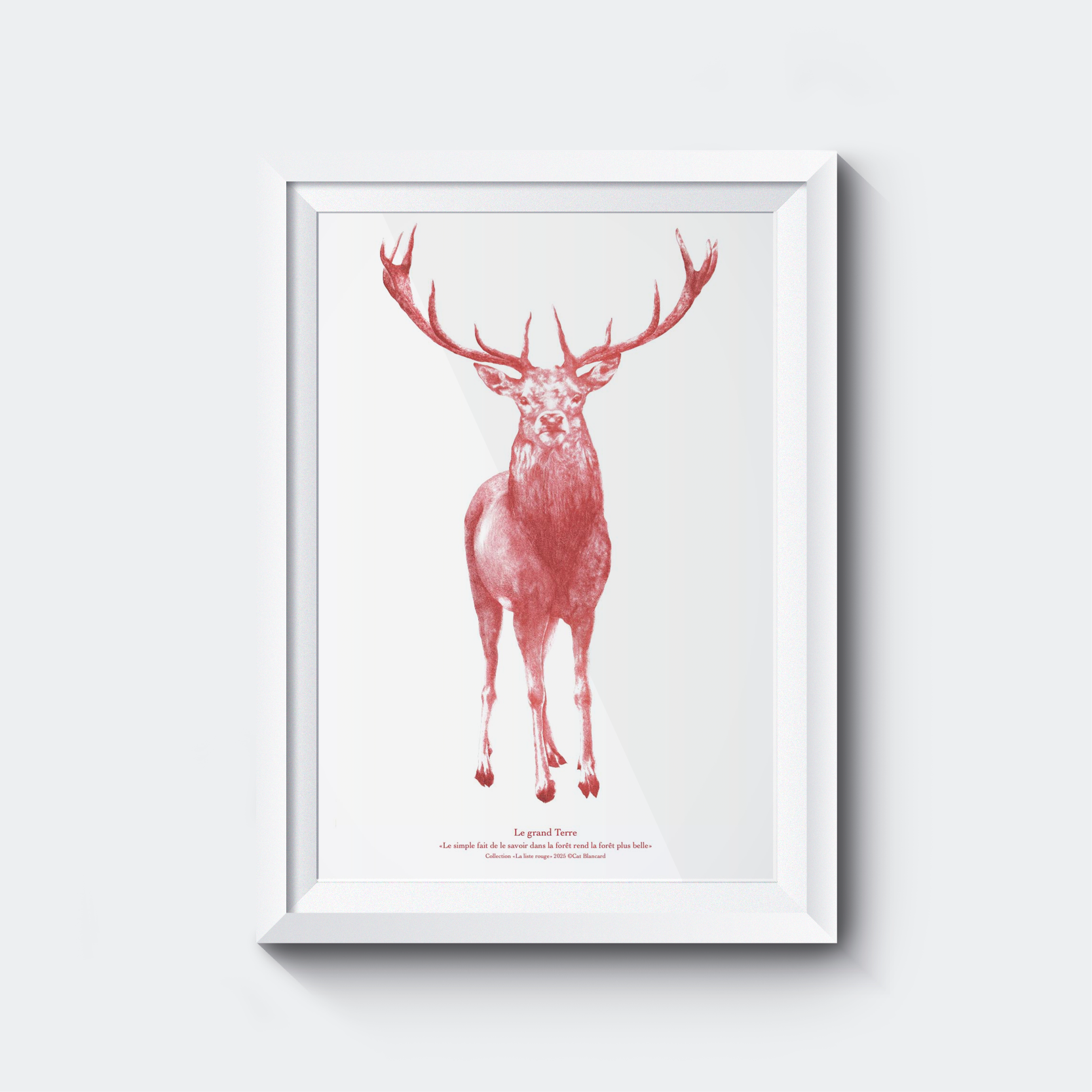 Affiche Le Grand Terre