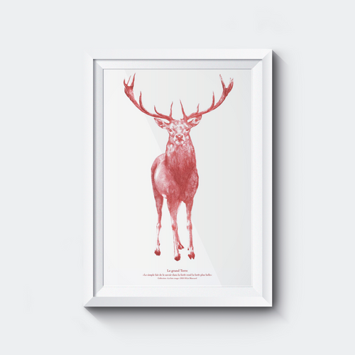 Affiche Le Grand Terre