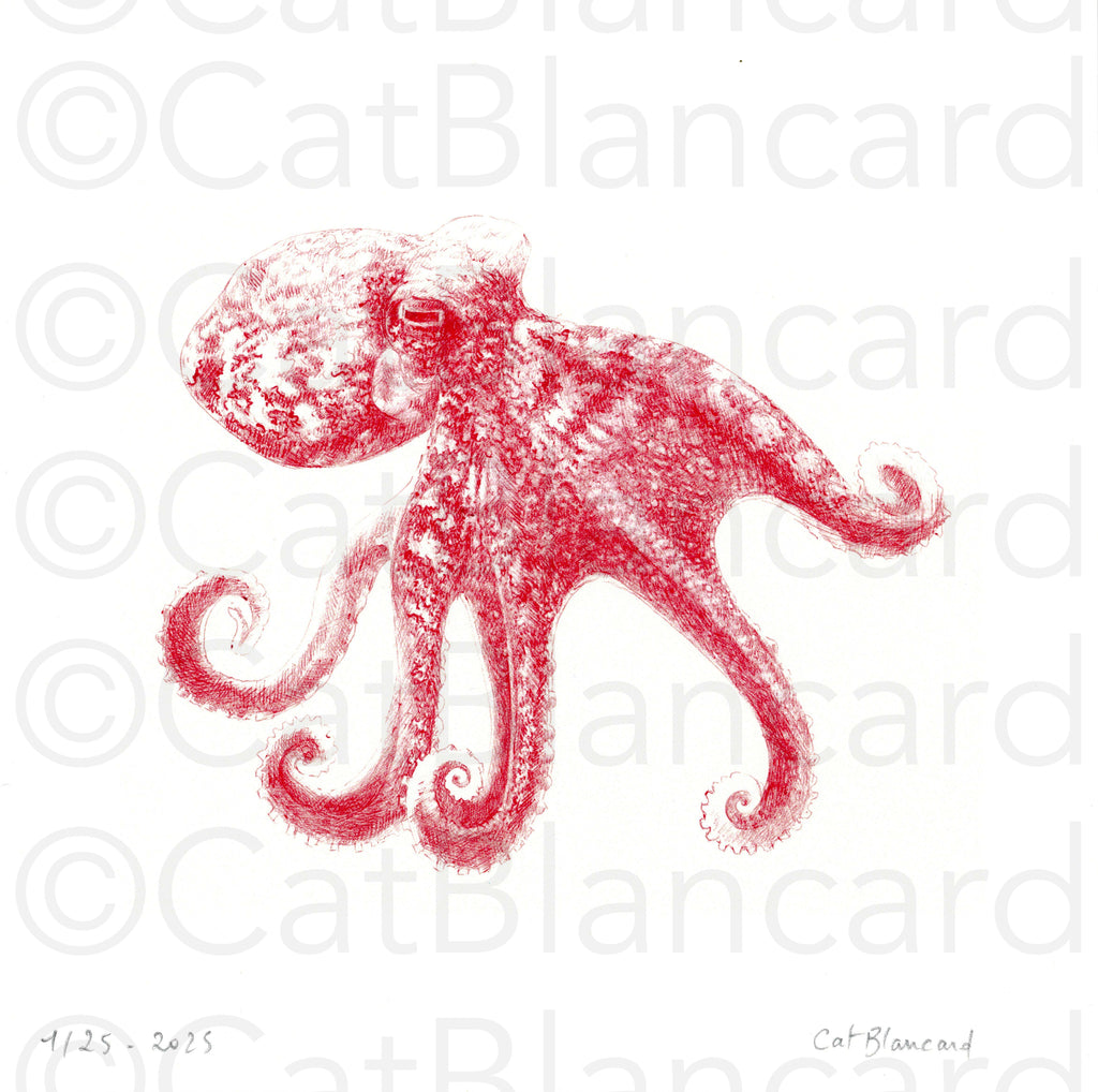 Impression Fine Art "Poulpito" n°1/25